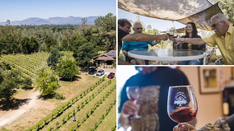 Images of Matson Vineyard and wine in glasses in Redding California