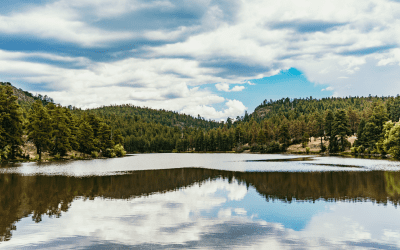 Von Williams, Arizona zum Grand Canyon: 3 Tage, 3 Wege