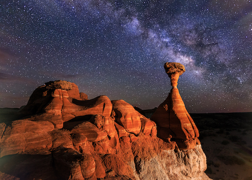 Escalante - DS - Toadstools MW-