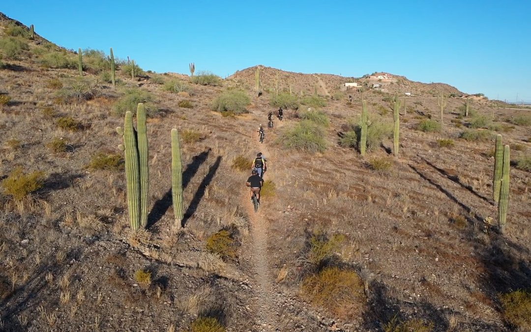 Eine Reise durch Casa Grande: Eine Mischung aus Geschichte, Kultur und Abenteuer