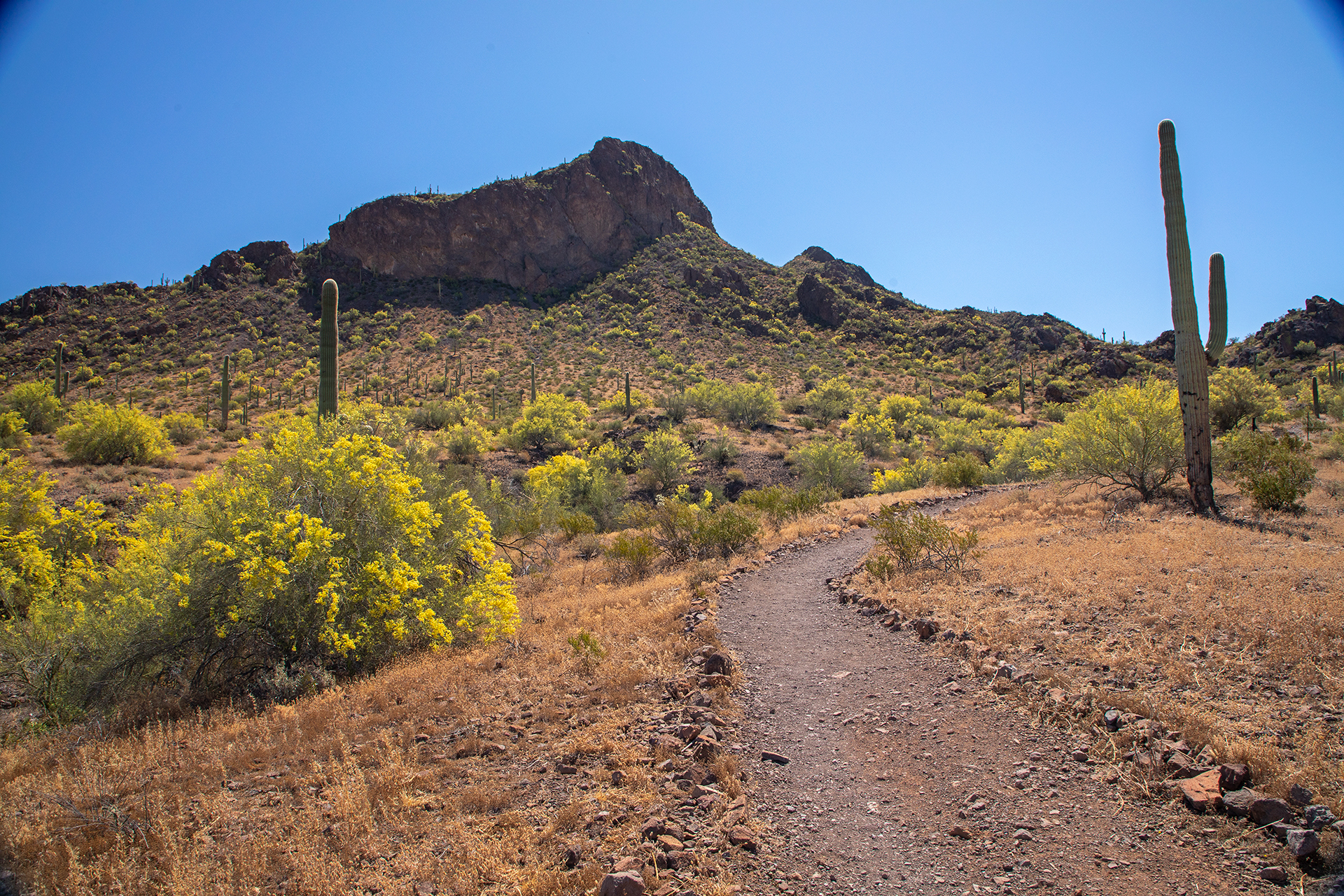 3 Days in Casa Grande, Arizona: A Desert Oasis of Culture and Adventure