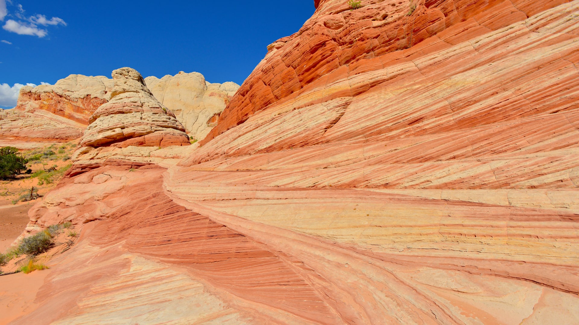 Slot Canyon and Sandstone Adventures in Kanab, UT
