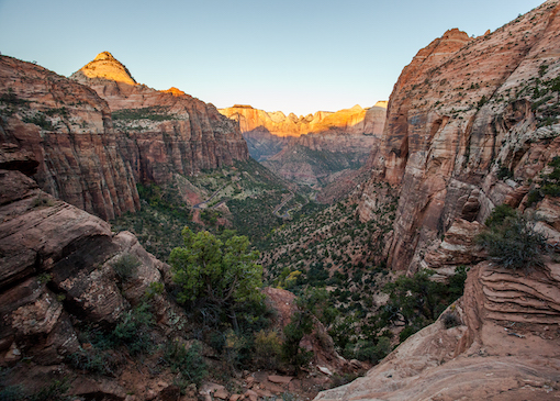 Zion national park sunrise landscape shot UT