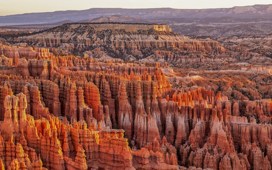 L&rsquo;oasis de l&rsquo;été à Bryce Canyon Country