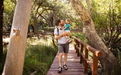 3 Family-Friendly Days in Sierra Vista, Arizona