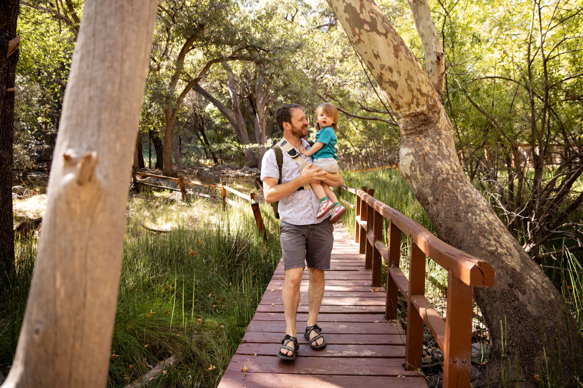 3 Family-Friendly Days in Sierra Vista, Arizona