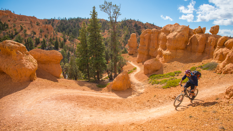 Mountain biker riding on the Thunder Mountain Trail