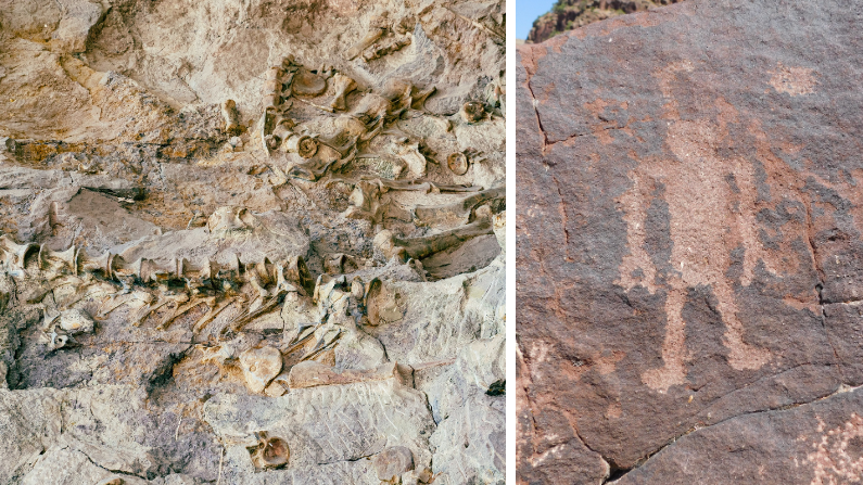 Dinosaur National Monument