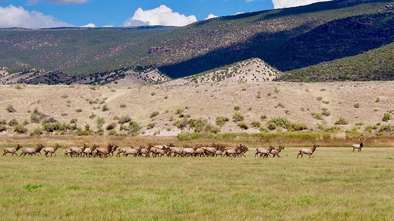 Browns Park National Wildlife Refuge