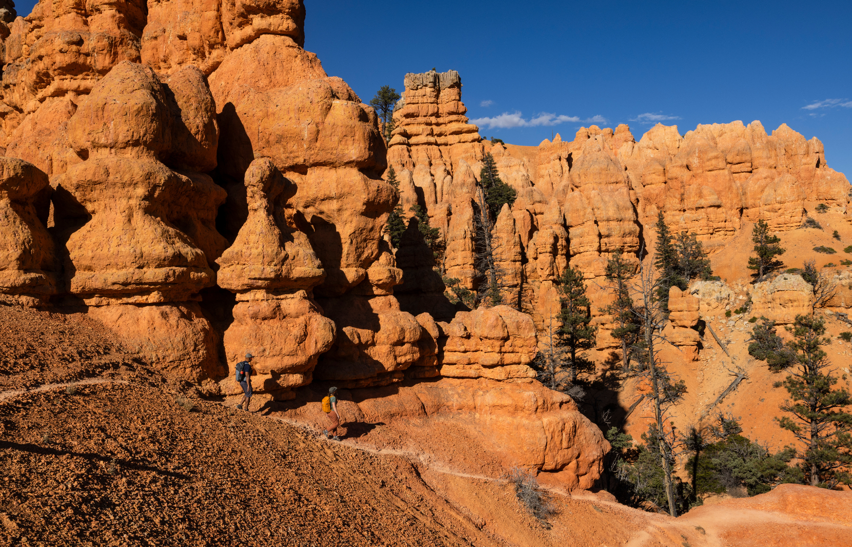 Hiking in Red Canyon Utah