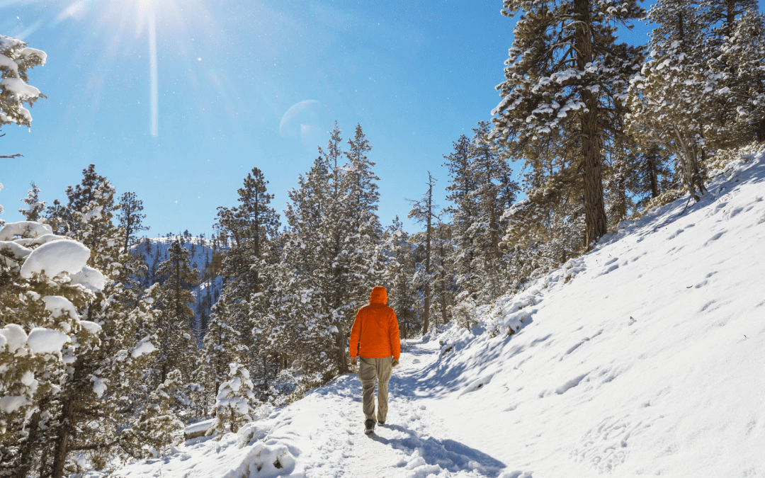 Embrace the Chill: Essential Tips for Winter Hiking