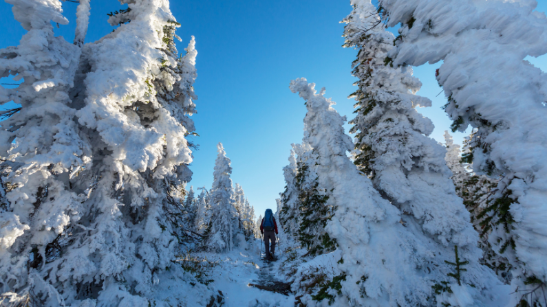 Southern California is a great winter getaway