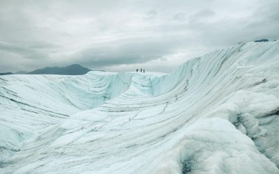 Sommerexkursion in Süd-Zentral-Alaska