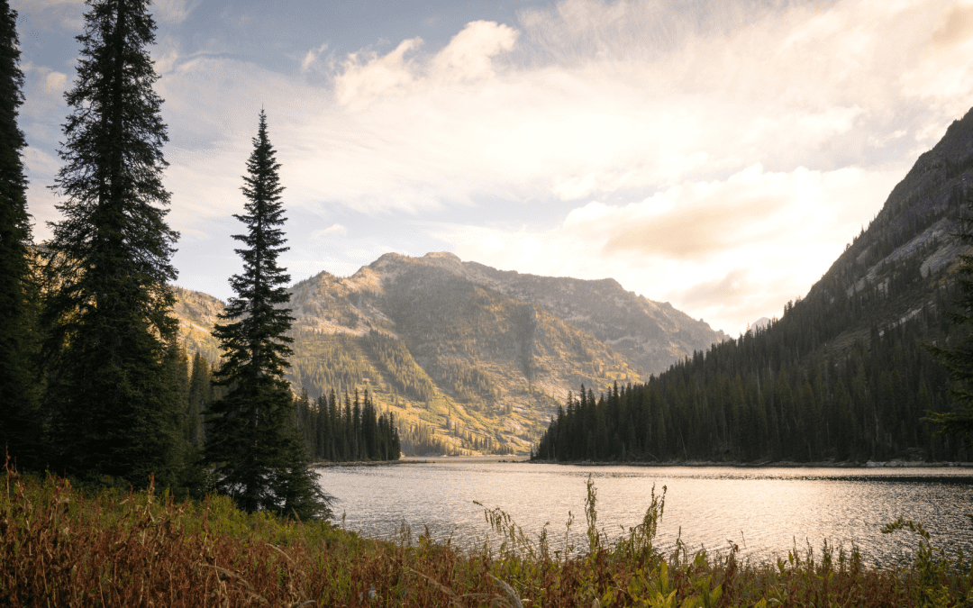 Backpacking for Beginners