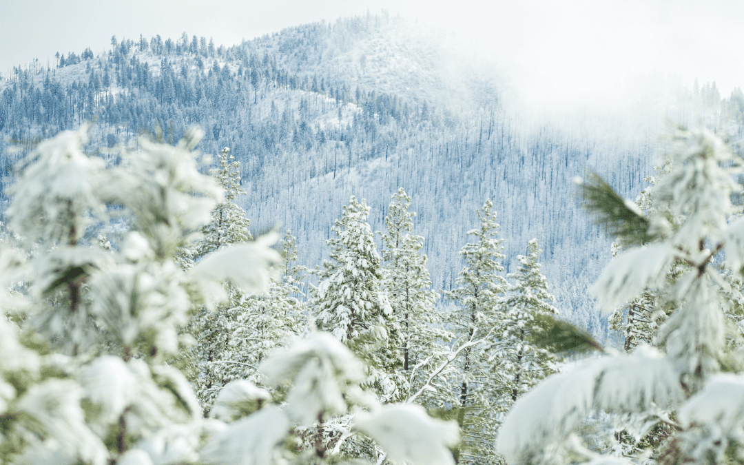 Best National Parks to Visit in Winter