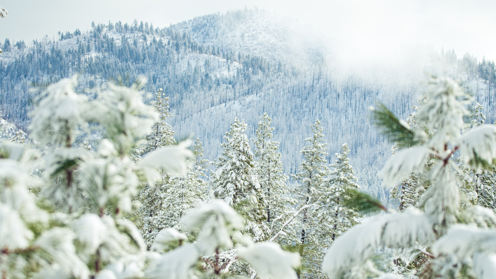 Best National Parks to Visit in Winter