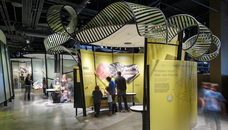 Life exhibit at NHMU