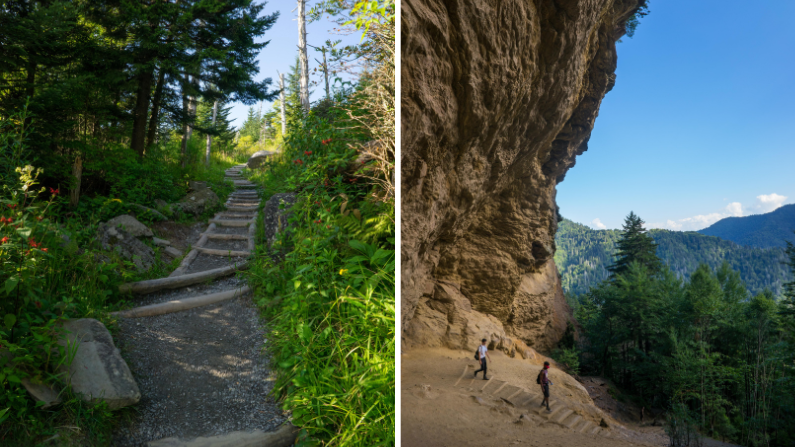 Great Smoky Mountains National Park Hiking Trails