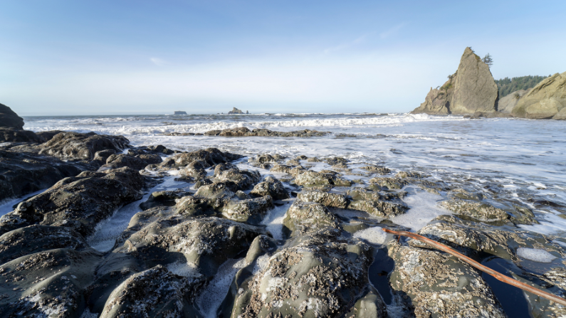 Olympic National Park is near Seattle, Washington