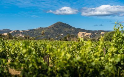 Morgan Hill, Northern California’s Culinary Destination