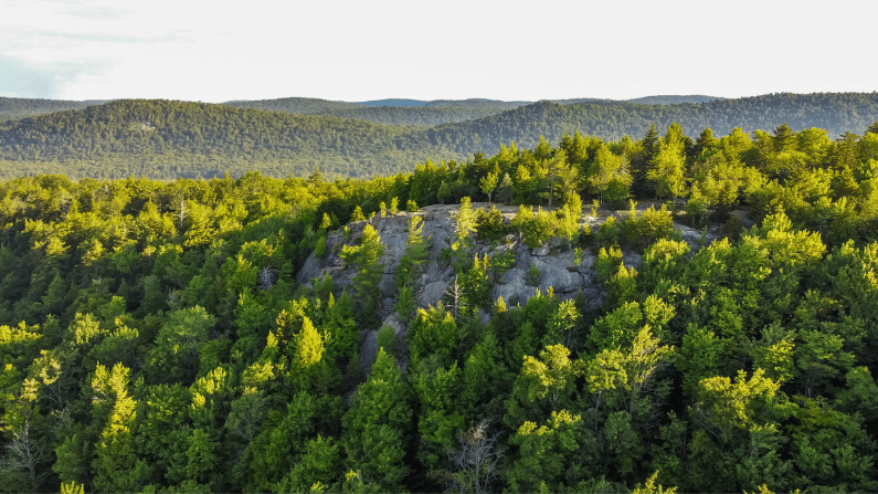 The Adirondack train is one of the most scenic train rides in America