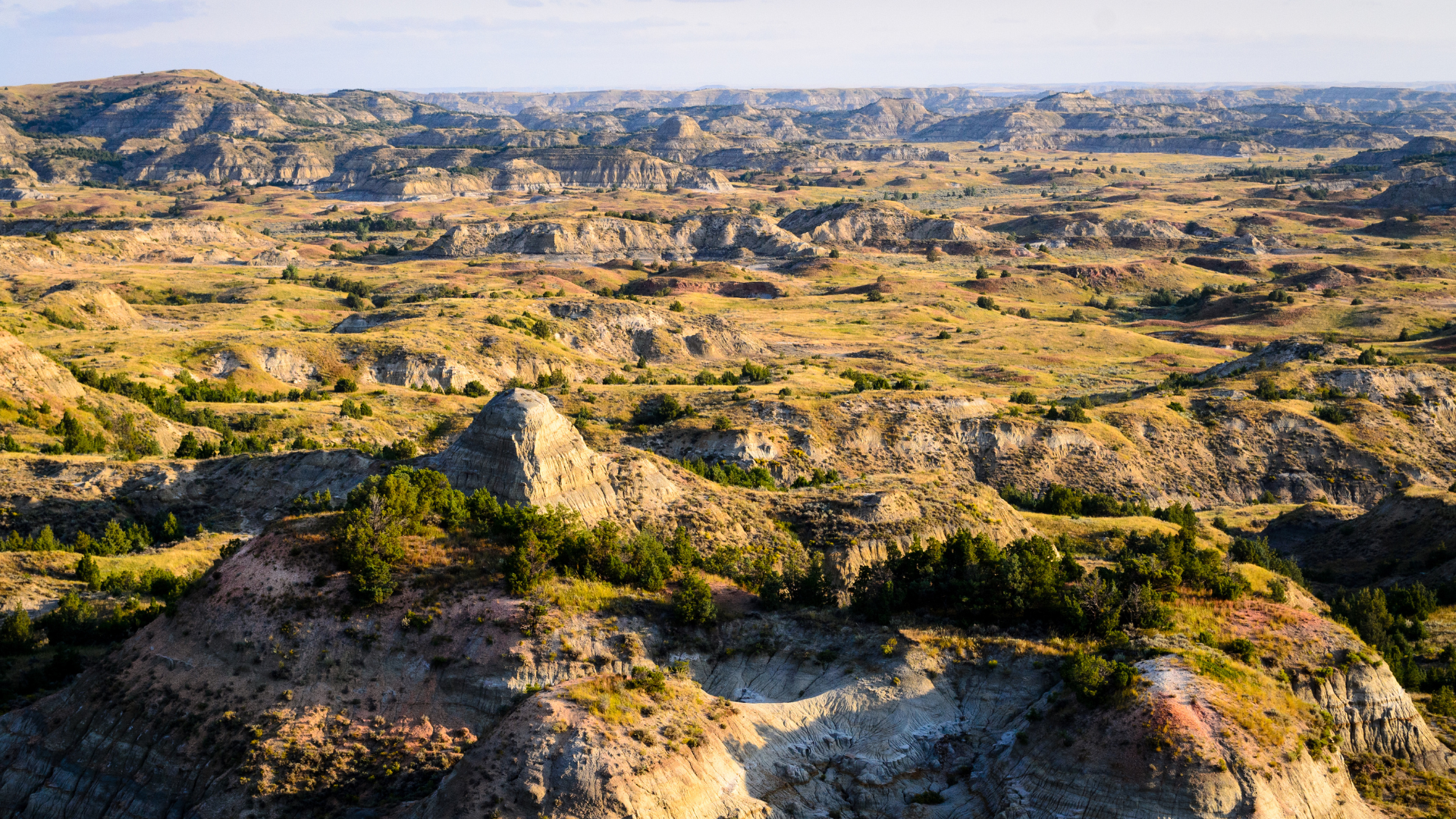 Theodore Roosevelt National Park