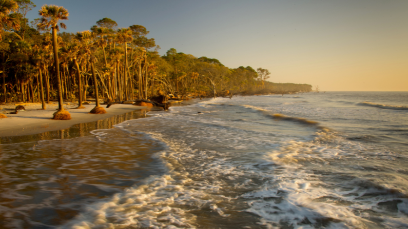 Hunting Island State Park beaches