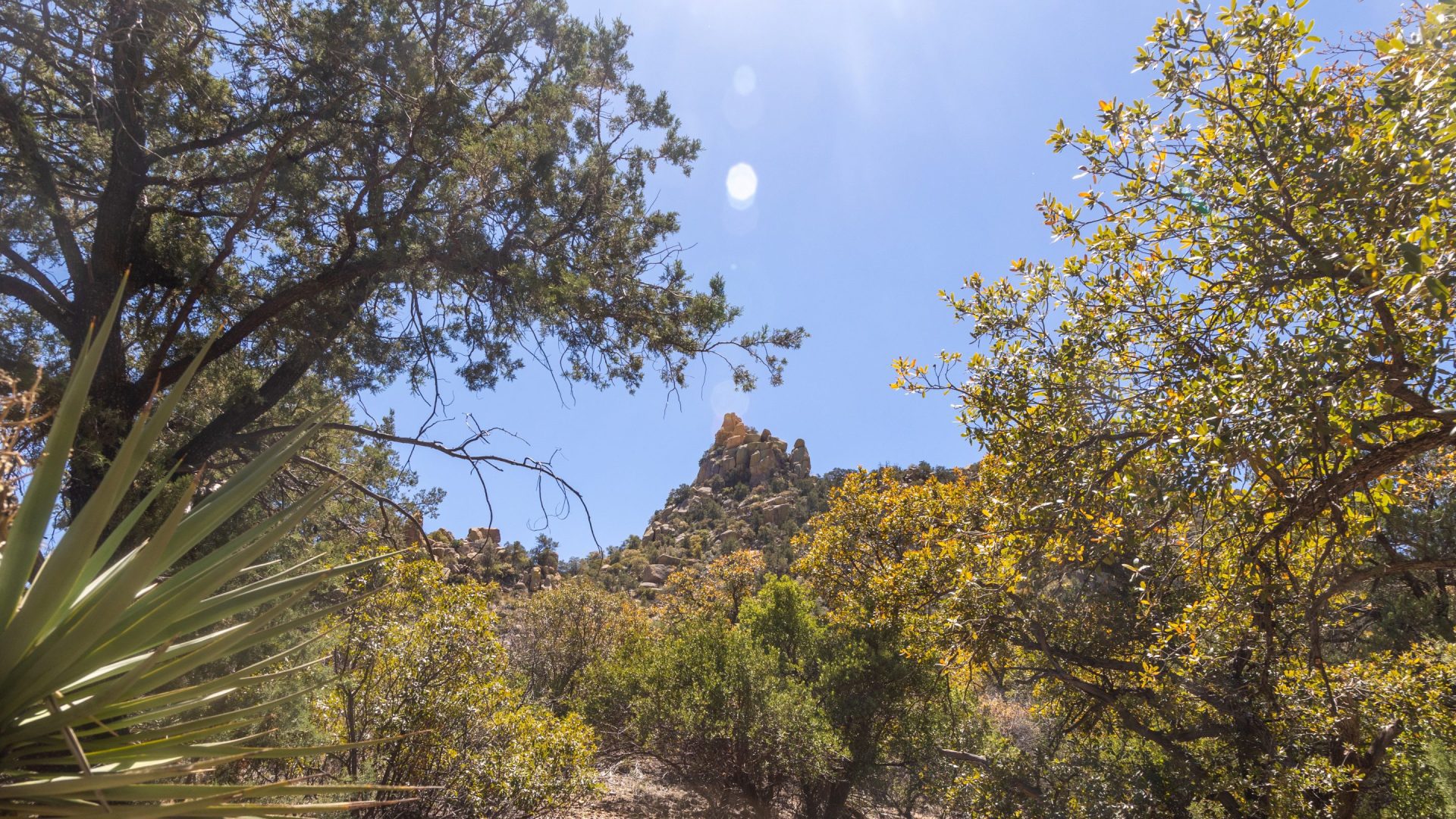 4 Days, 4 Towns: Road Tripping Through Cochise County