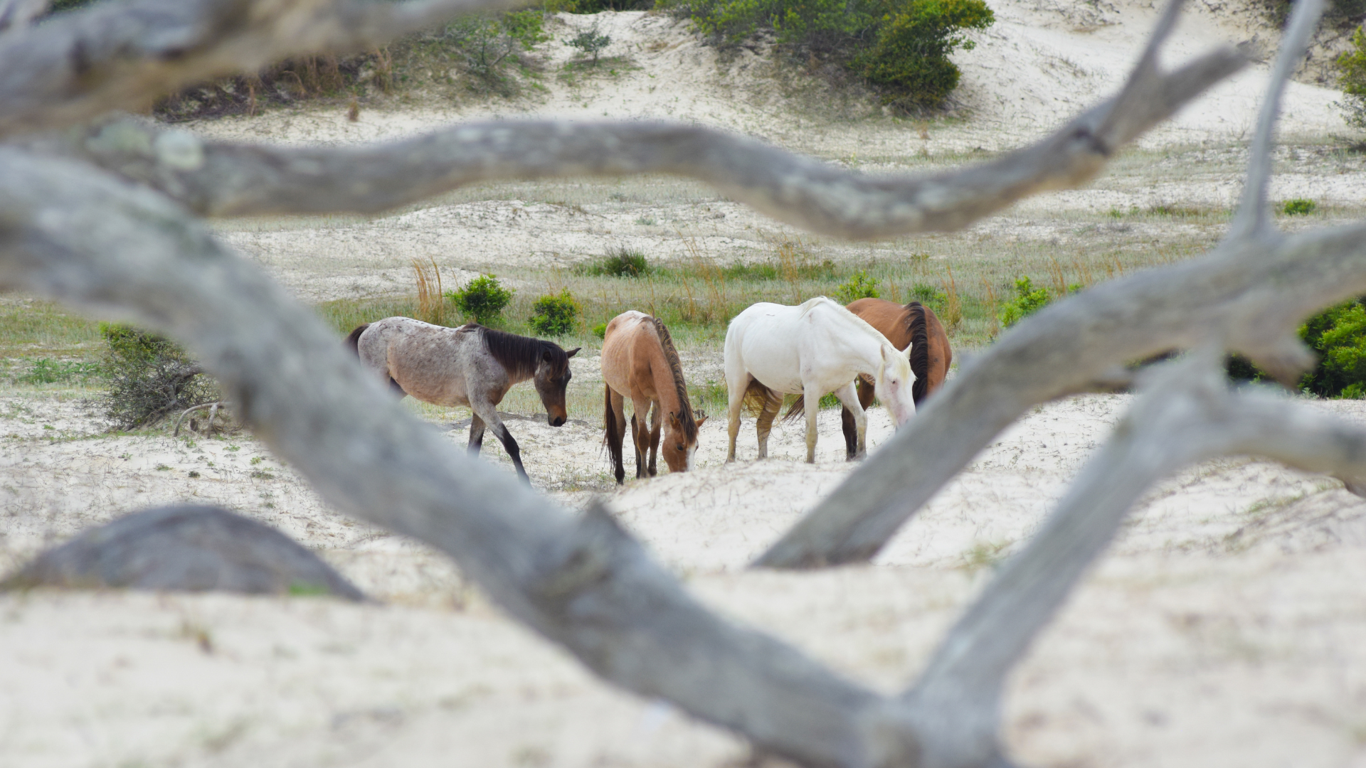 4 Wellness Retreat Ideas Inspired by National Parks