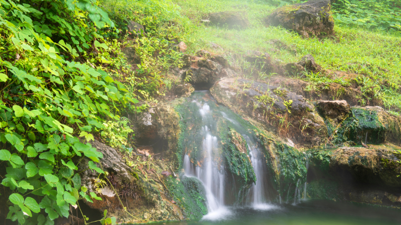 indigenous heritage on the east coast