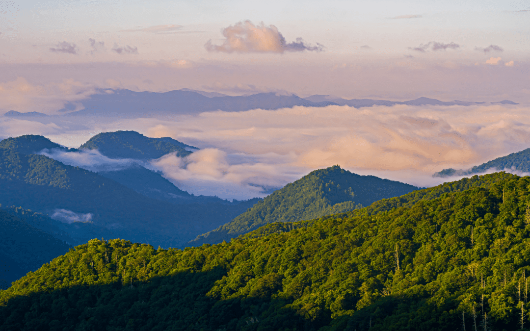 Exploring Indigenous Heritage on the East Coast
