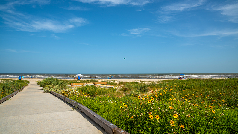 Galveston Island State Park