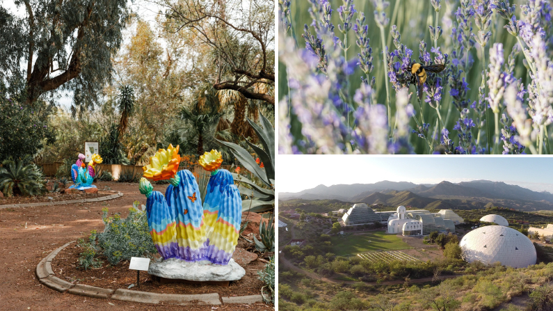 Art and culture outside of Phoenix, AZ