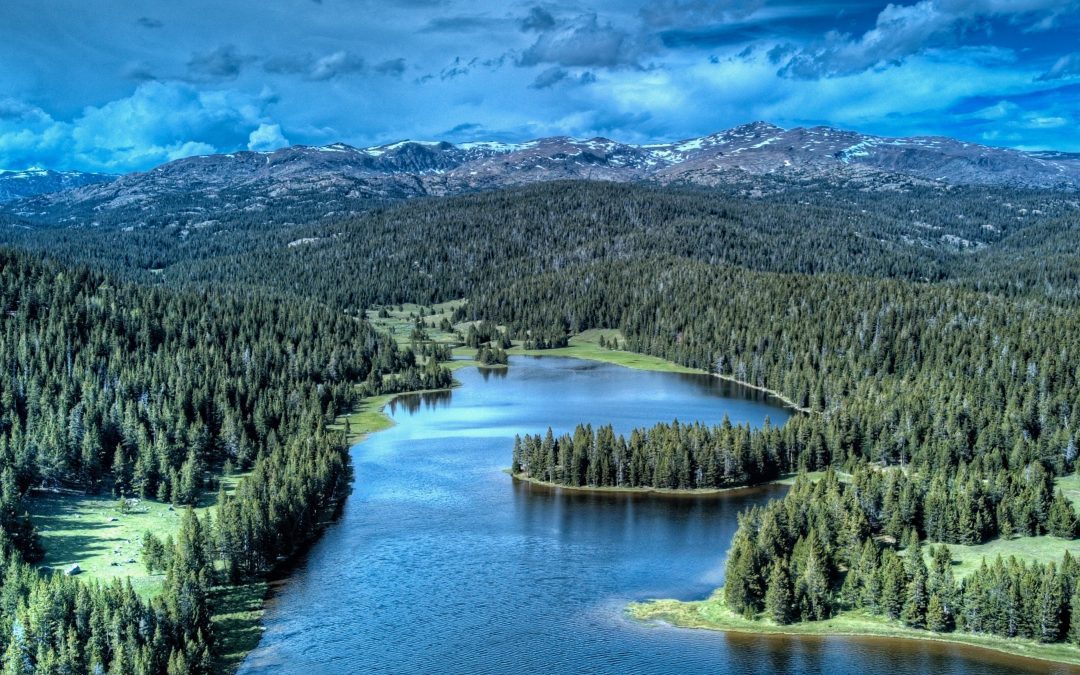 Explore the Wild Wonders of Bighorn Mountain Country