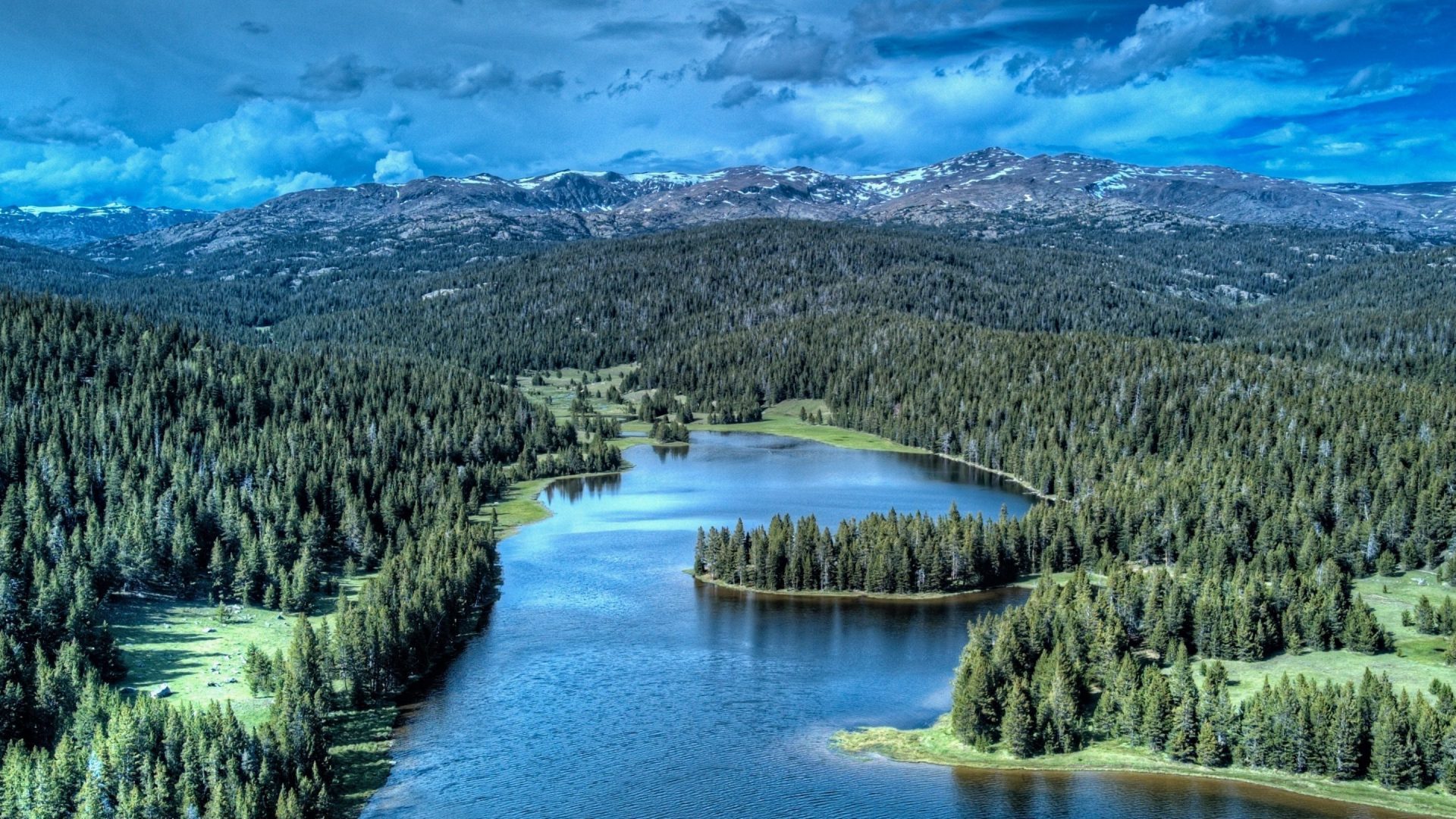 Explore the Wild Wonders of Bighorn Mountain Country