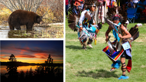 Exploring Wild Spaces and Indigenous Culture in Nevada's Indian ...