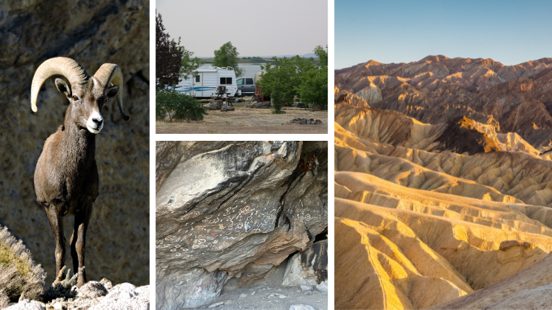 Indigenous culture in Nevada