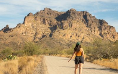 ¿Vas a visitar el Arboreto Boyce Thompson? Esto es lo que puedes hacer durante tu visita a Superior, Arizona