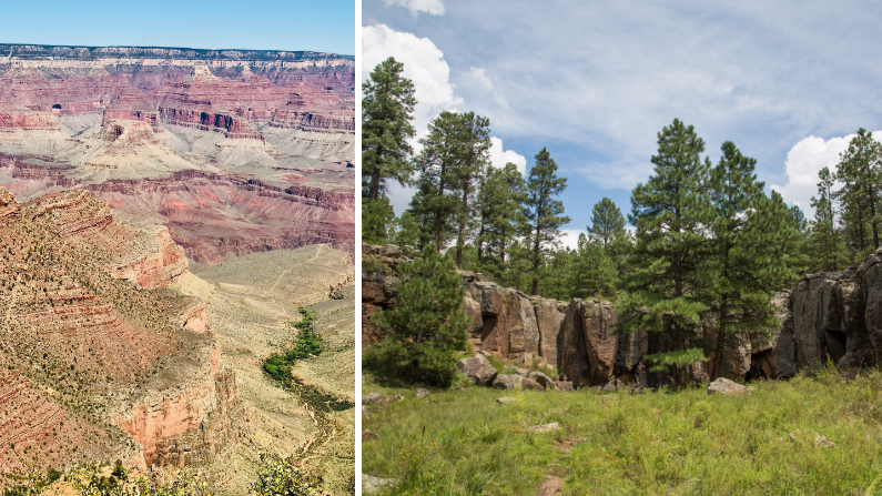 Grand Canyon Williams AZ