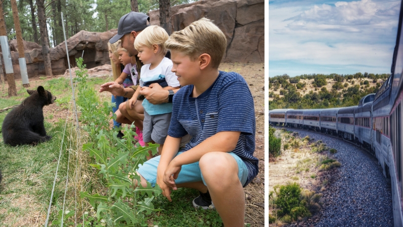 Bearizona and the Grand Canyon Train in Williams, Arizona, on Route 66
