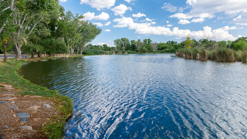View of the lake at Dead Horse Ranch State Park