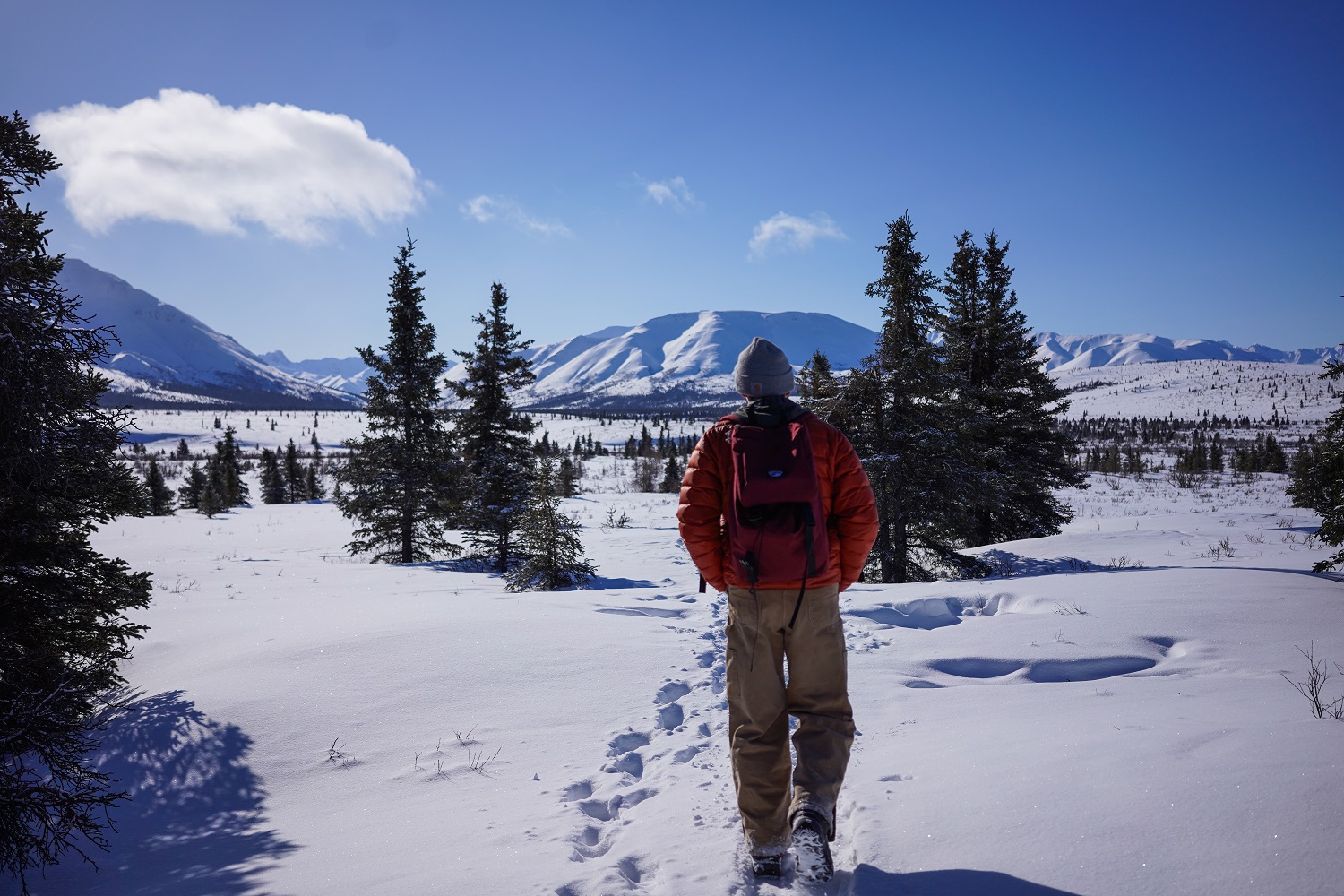 Winter activities and things to do in Fairbanks Alaska