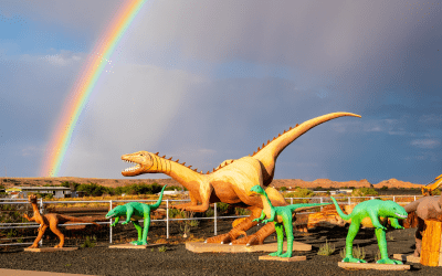 Holbrook, Arizona: Entdecke die Geschichte in einem Paradies für Gesteinssammler