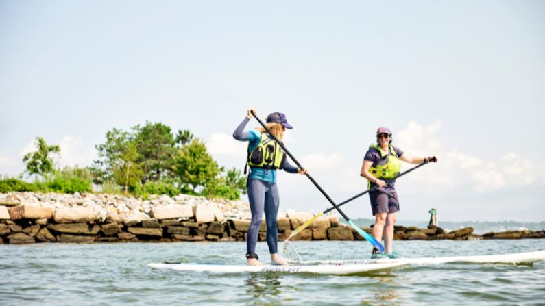 Two people stand-up paddle boarding in an bay in Greater Portland, ME