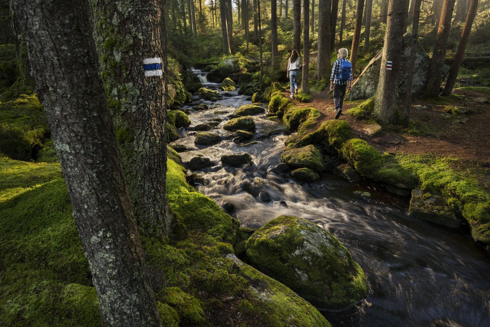 A man and woman hiking along a stream in Modrava