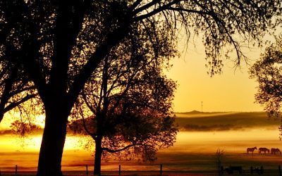 Connect with the American West in Goshen County, Wyoming