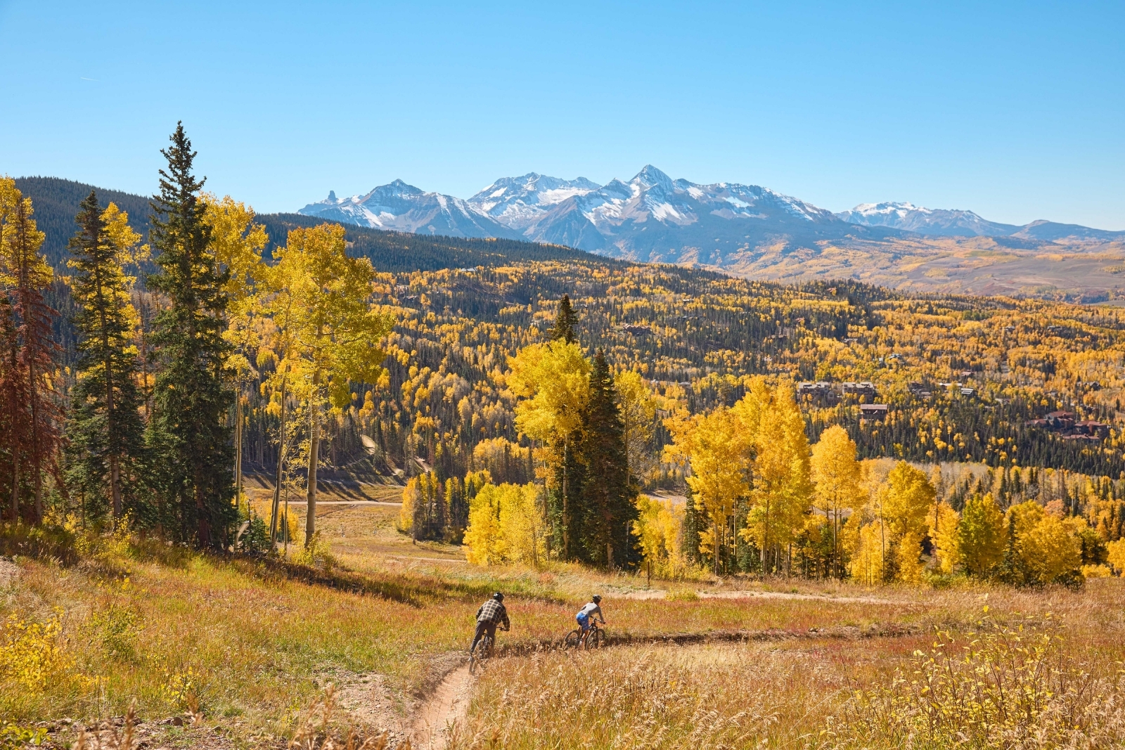 mountain bikers riding a trail with fall colors and mountains in the background