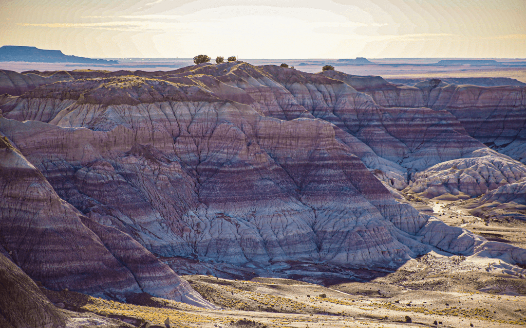 State Parks Not to Miss Along Arizona’s Route 66