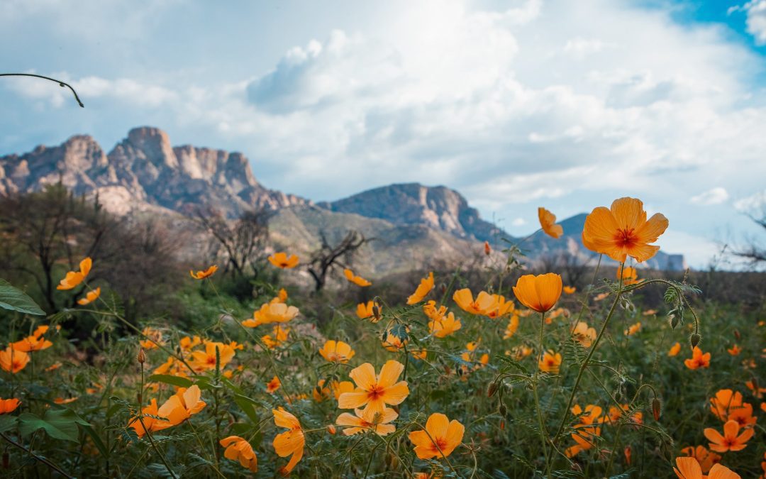 Arizona State Parks