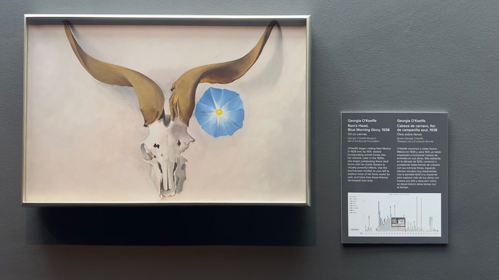 Framed Georgia O'Keeffe painting of a ram's skull with long curved horns and a blue morning glory flower, displayed on a gallery wall beside a wall label with exhibit text in English and Spanish. Santa Fe County.